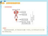 人教版生物七年级下册第五章专题课件+单元测试（含答案）