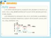 人教版生物七年级下册第五章专题课件+单元测试（含答案）