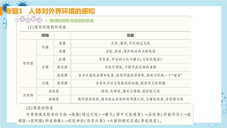 人教版生物七年级下册第六章专题课件+单元测试（含答案）02