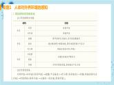 人教版生物七年级下册第六章专题课件+单元测试（含答案）