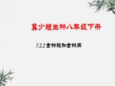 冀少版生物八年级下册：7.2.2 食物链和食物网 课件