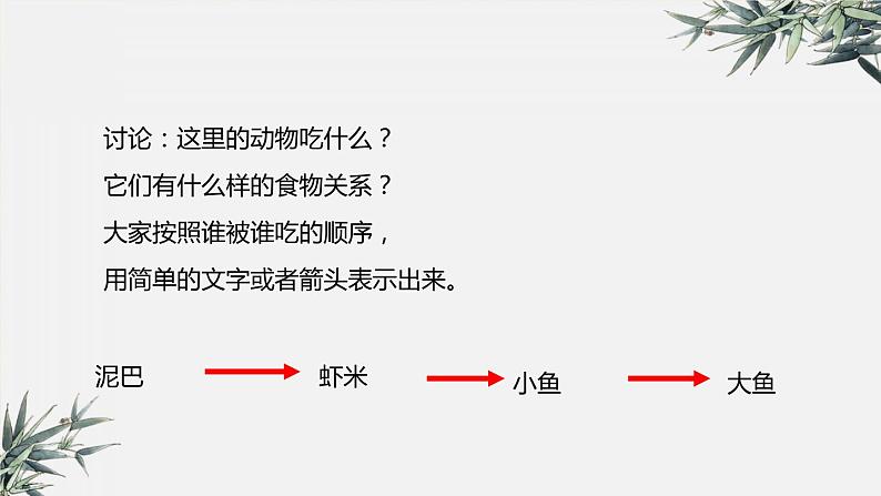 冀少版生物八年级下册：7.2.2 食物链和食物网 课件第6页