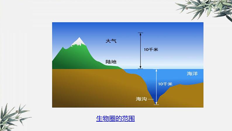 冀少版生物八年级下册：7.2.3 生物圈 课件第5页