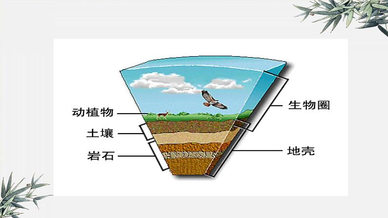 冀少版生物八年级下册：7.2.3 生物圈 课件第6页