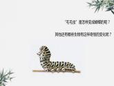 冀少版生物八年级下册：6.1.2 动物的生殖和发育 课件