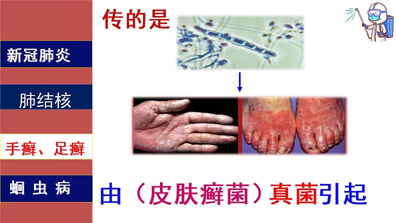 新8.1.1 传染病及其预防(2)课件PPT第7页