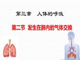 人教版七下第三章第二节 发生在肺内的气体交换课件PPT