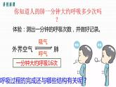 人教版七下第三章第二节 发生在肺内的气体交换课件PPT