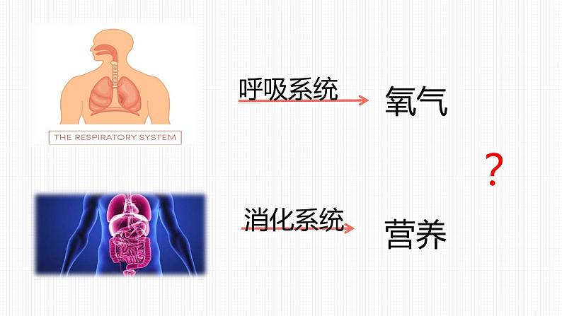 第二节 血流的管道——血管课件PPT第2页