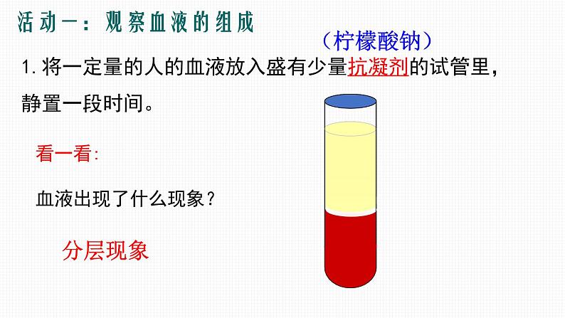 第二节 血流的管道——血管课件PPT第5页