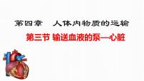 初中生物人教版 (新课标)七年级下册第四单元 生物圈中的人第四章 人体内物质的运输第三节 输送血液的泵──心脏课前预习ppt课件