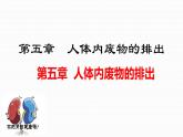 第五章 人体内废物的排出课件PPT