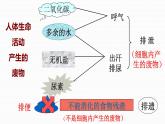 第五章 人体内废物的排出课件PPT