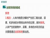 第五章 人体内废物的排出课件PPT