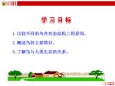 第五单元第一章第六节 鸟课件PPT