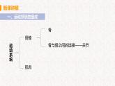 第五单元第二章第一节 动物的运动课件PPT