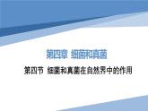 第五单元第四章第四节 细菌和真菌在自然界中的作用课件PPT