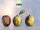 第五单元第四章第四节 细菌和真菌在自然界中的作用课件PPT