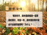 第五单元第四章第四节 细菌和真菌在自然界中的作用课件PPT