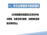 第五单元第四章第四节 细菌和真菌在自然界中的作用课件PPT