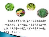 第六单元第一章第二节 从种到界课件PPT