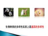 第六单元第二章 认识生物的多样性课件PPT