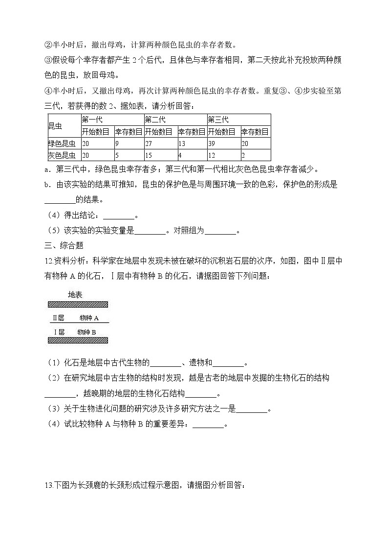 北师大版生物八年级下册 7.21.2 生物的进化 课件+学案（含答案）+习题（含解析）03