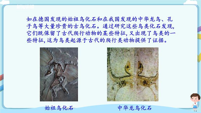 北师大版生物八年级下册 7.21.2 生物的进化 课件+学案（含答案）+习题（含解析）06