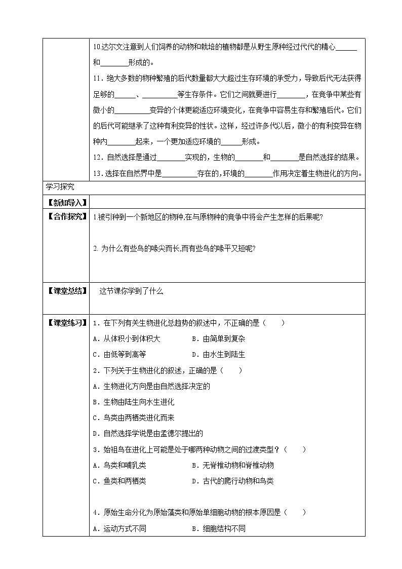 北师大版生物八年级下册 7.21.2 生物的进化 课件+学案（含答案）+习题（含解析）02