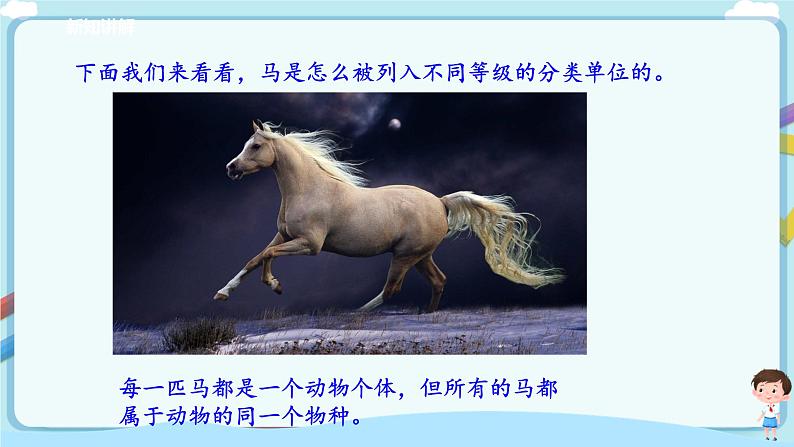 北师大版生物八年级下册 7.22.1 生物的分类 课件+学案（含答案）+习题（含解析）08