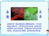 北师大版生物八年级下册 7.22.2 原生生物的主要类群 课件+学案（含答案）+习题（含解析）