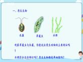 北师大版生物八年级下册 7.22.2 原生生物的主要类群 课件+学案（含答案）+习题（含解析）