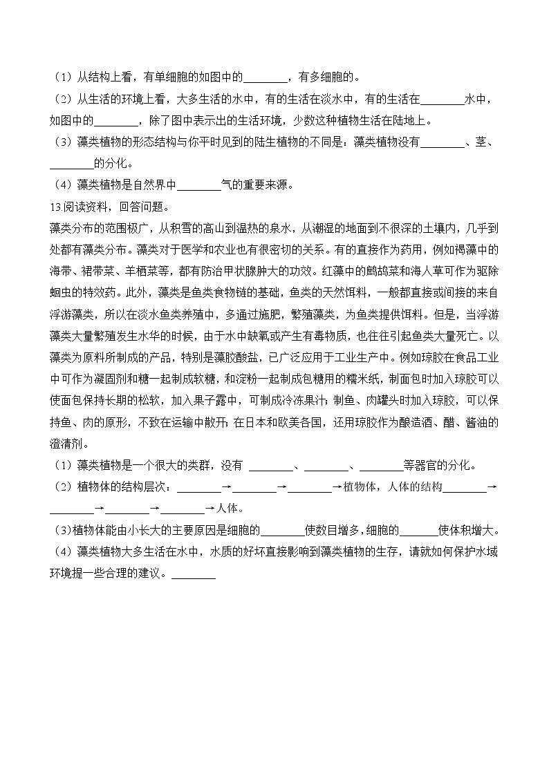 北师大版生物八年级下册 7.22.2 原生生物的主要类群 课件+学案（含答案）+习题（含解析）03