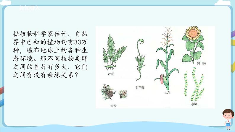 北师大版生物八年级下册 7.22.3 植物的主要类群（二、脊椎动物）课件+学案（含答案）+练习（含解析）03