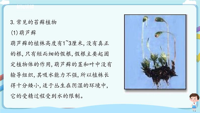 北师大版生物八年级下册 7.22.3 植物的主要类群（二、脊椎动物）课件+学案（含答案）+练习（含解析）06