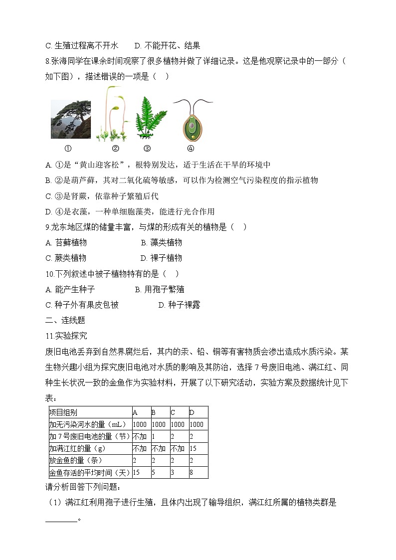 北师大版生物八年级下册 7.22.3 植物的主要类群（二、脊椎动物）课件+学案（含答案）+练习（含解析）02