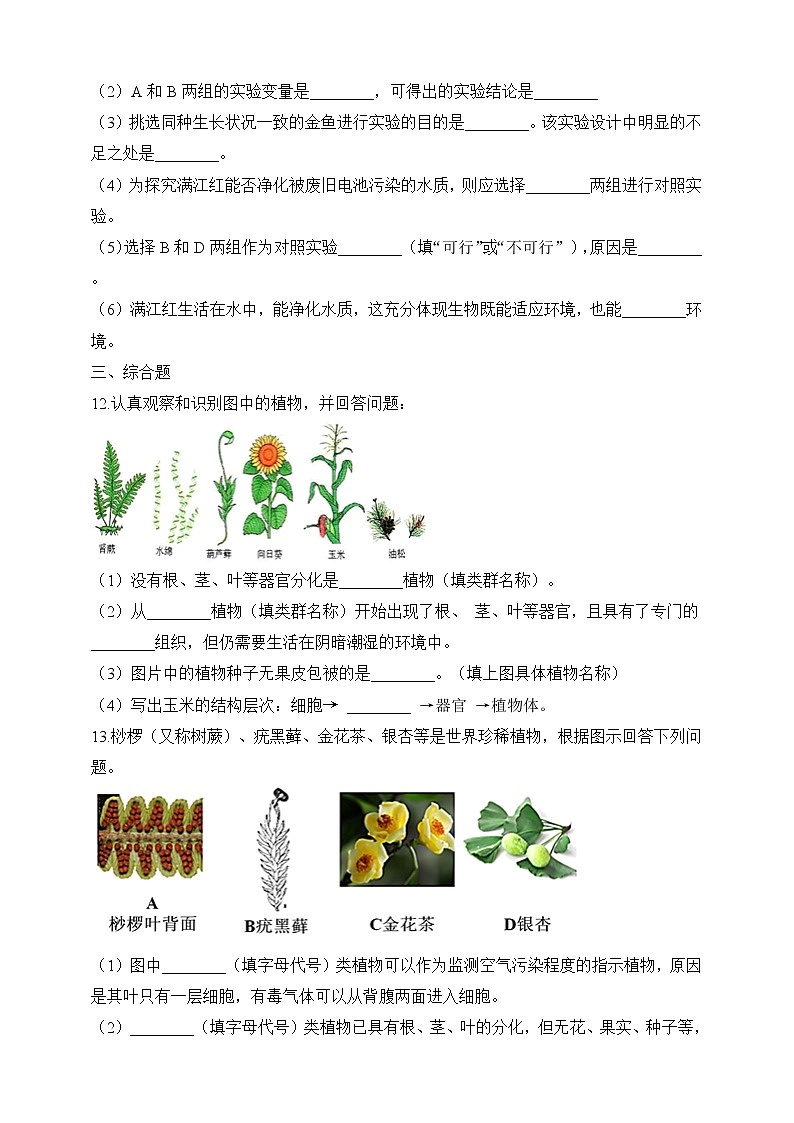 北师大版生物八年级下册 7.22.3 植物的主要类群（二、脊椎动物）课件+学案（含答案）+练习（含解析）03