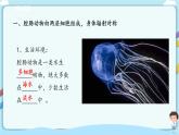 北师大版生物八年级下册 7.22.4 动物的主要类群（一、无脊椎动物）课件+学案（含答案）+练习（含解析）