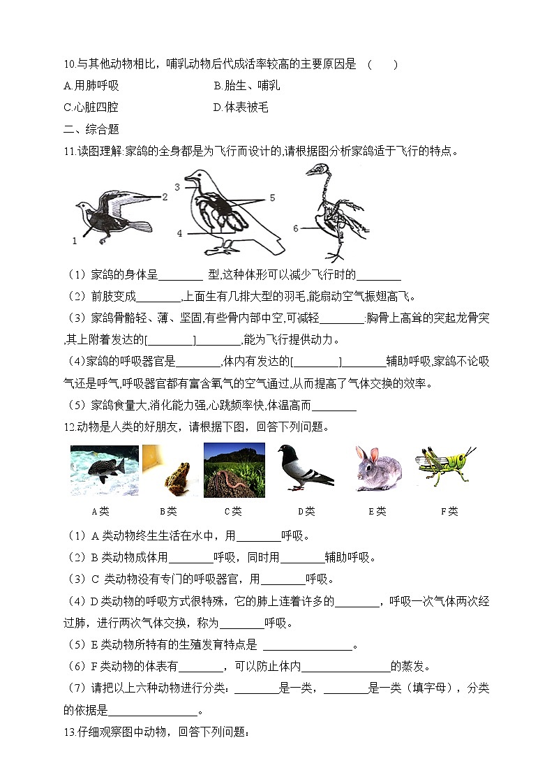 北师大版生物八年级下册 7.22.4 动物的主要类群（二、脊椎动物）课件+学案（含答案）+练习（含解析）02