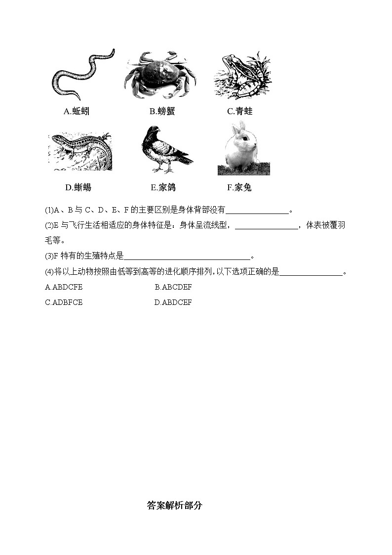 北师大版生物八年级下册 7.22.4 动物的主要类群（二、脊椎动物）课件+学案（含答案）+练习（含解析）03