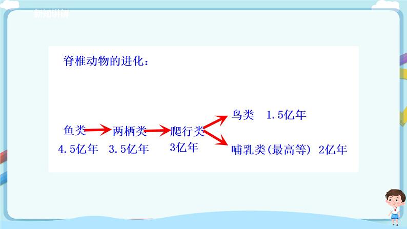 北师大版生物八年级下册 7.22.4 动物的主要类群（二、脊椎动物）课件+学案（含答案）+练习（含解析）04