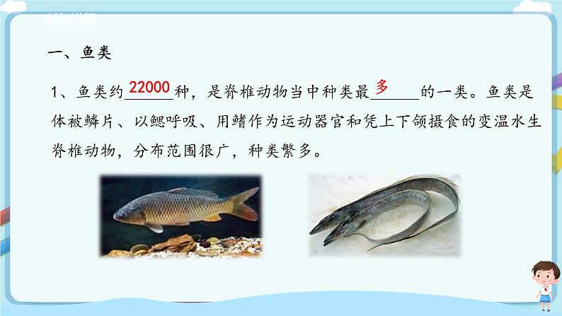 北师大版生物八年级下册 7.22.4 动物的主要类群（二、脊椎动物）课件+学案（含答案）+练习（含解析）05