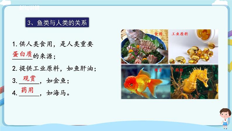 北师大版生物八年级下册 7.22.4 动物的主要类群（二、脊椎动物）课件+学案（含答案）+练习（含解析）07