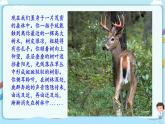 北师大版生物八年级下册 8.23.2 生态系统概述 课件+学案（含答案）+习题（含解析）