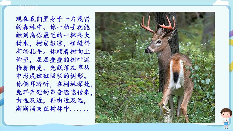 北师大版生物八年级下册 8.23.2 生态系统概述 课件+学案（含答案）+习题（含解析）03