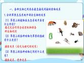 北师大版生物八年级下册 8.23.3 生态系统的结构和功能 课件+学案（含答案）+习题（含解析）