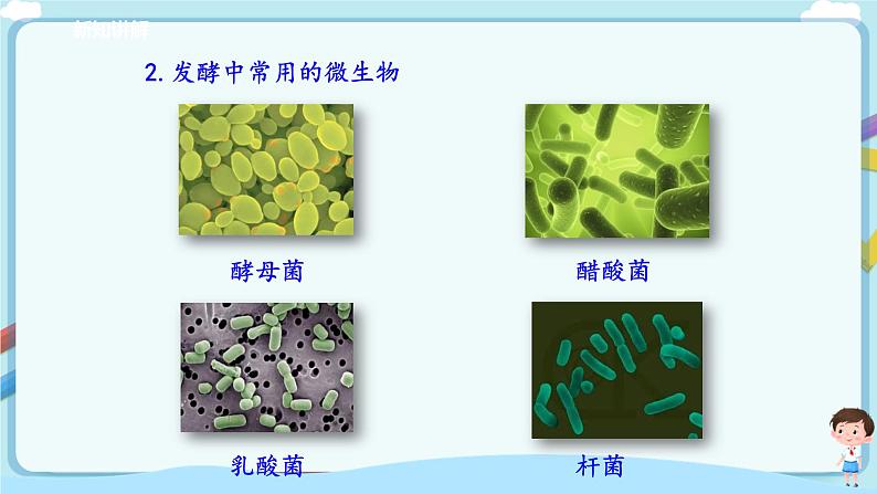 北师大版生物八年级下册 9.25.1 发酵技术（课件）第5页