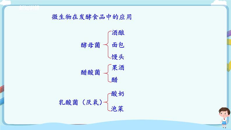 北师大版生物八年级下册 9.25.1 发酵技术（课件）第6页