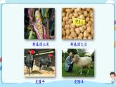 北师大版生物八年级下册 9.25.2 现代生物技术 课件+学案（含答案）+练习（含解析）