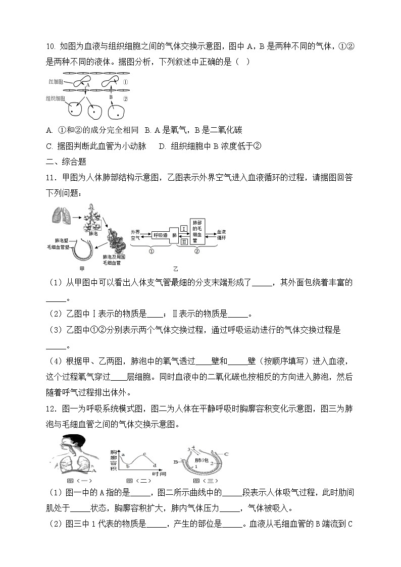 济南版生物七年级下册   3.2.1 人体与外界的气体交换 课件+学案（含答案）+练习（含解析）03